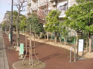 朝日プラザ西調布（４０５）の物件外観写真